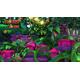 Donkey Kong Country: Tropical Freeze - Wii U
